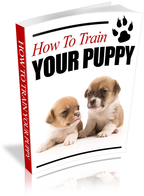 How to Train Your Puppy - Quick Start Guide - Ebook